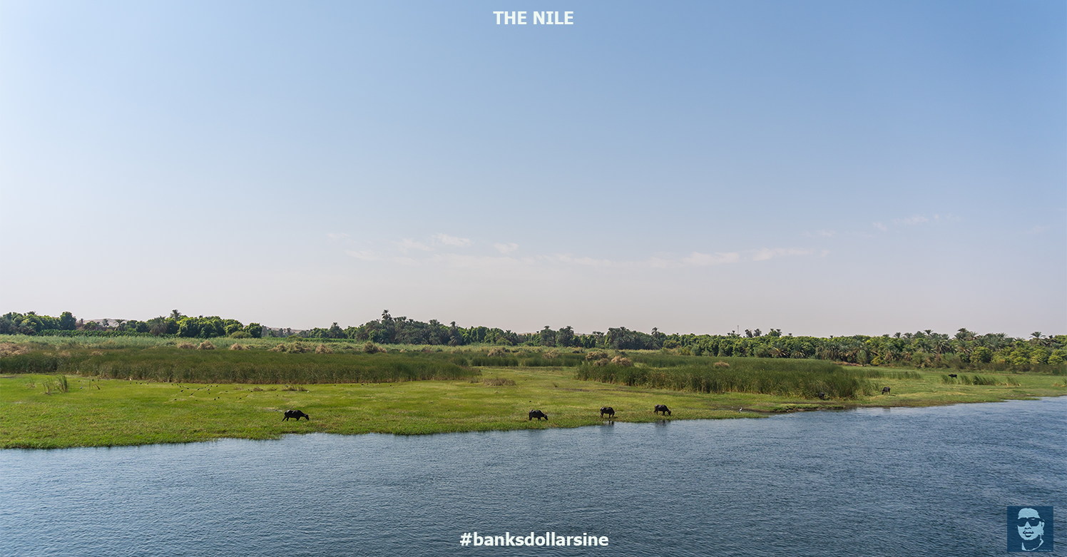 The Nile -  แม่น้ำไนล์